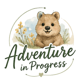 Adventure in Progress